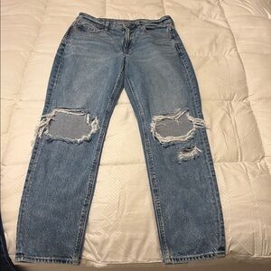 American Eagle Outfitters Light Blue Denim